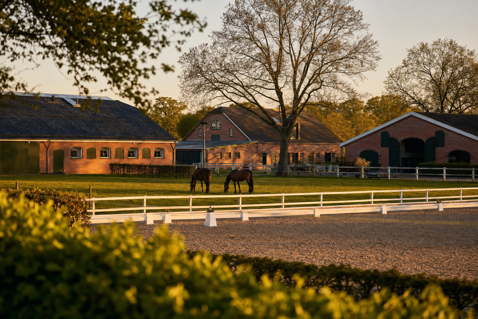 Reitanlage mit Stallgebäuden und Paddocks (Beispielmotiv)