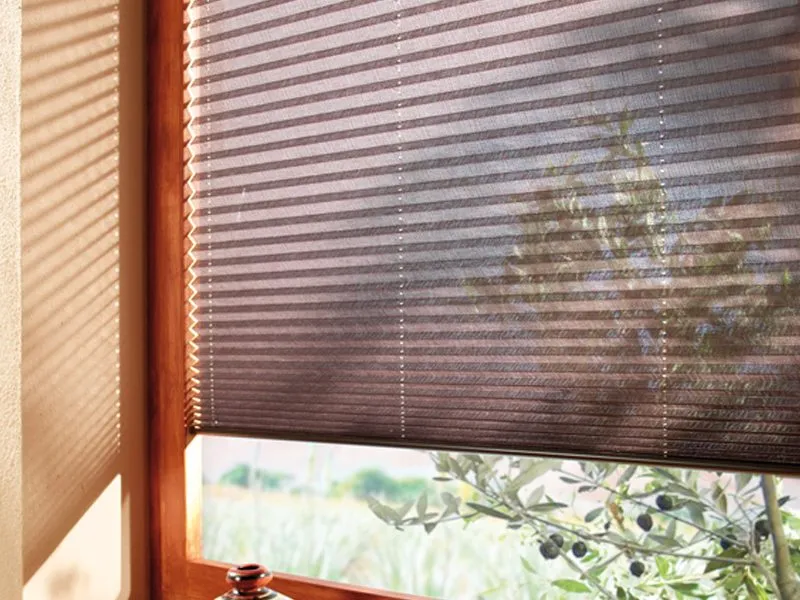 Plissee an einem Fenster von innen, dahinter ein Olivenbaum